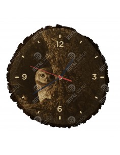 Sýček brahmínský