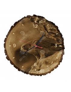 Sokol sťahovavý
