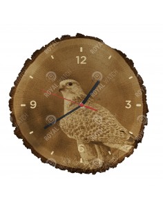 Białozór