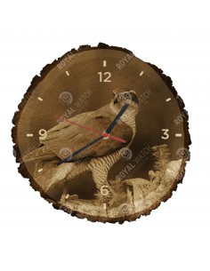 Ястреб-тетеревятник