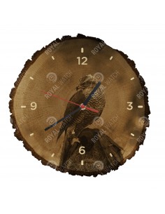 Ястреб-тетеревятник