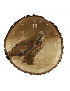 Myszołów zwyczajny