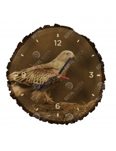 Vörös kánya
