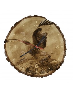 Rotmilan