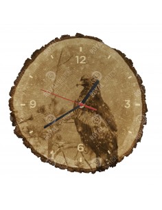 Steinadler