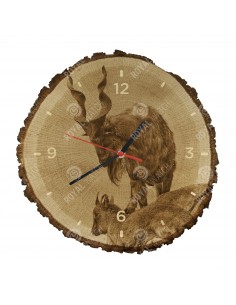 Винторогий козёл