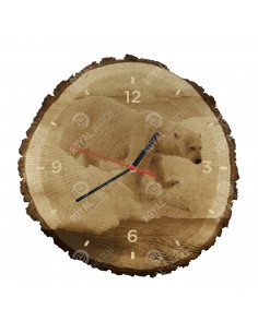 Niedźwiedź polarny