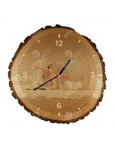 Niedźwiedź polarny