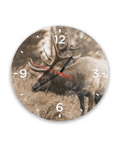 Wapiti
