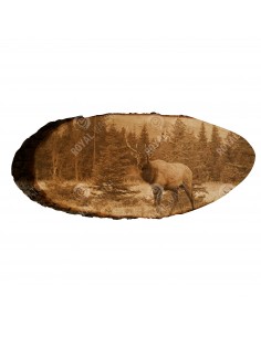 Wapiti