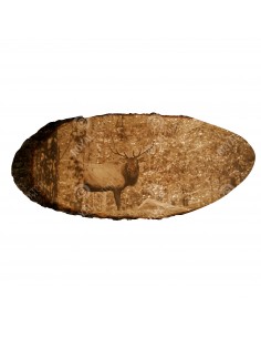Wapiti