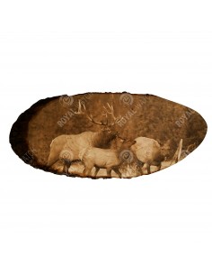 Wapiti