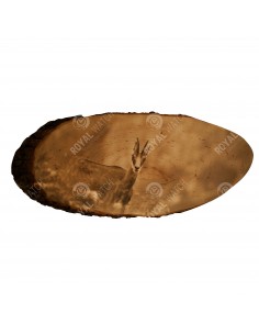 Chamois