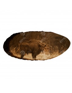 Wisent