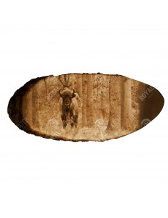 Wisent