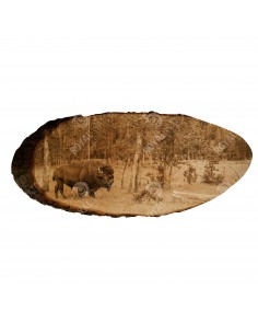 Amerikanischer Bison