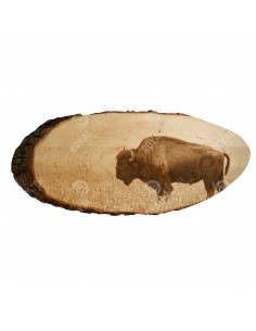 Amerikanischer Bison