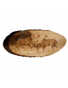 Kudu antilope