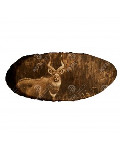 Nyala
