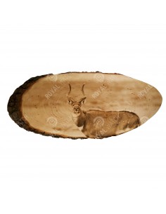Nyala