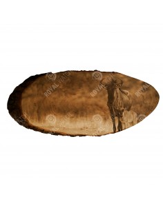 Gnu pręgowane