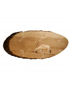 Arab bejza