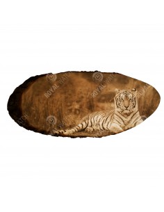Tigris