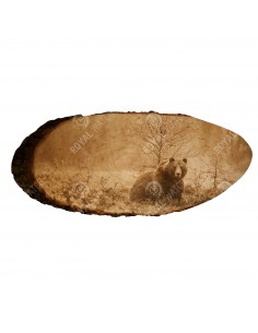 Niedźwiedź brunatny