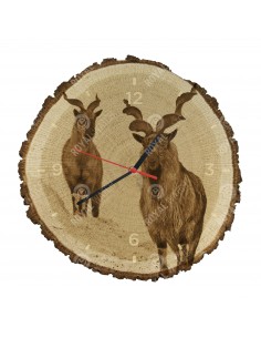 Schraubenziege