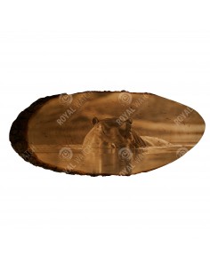 Обыкновенный бегемот