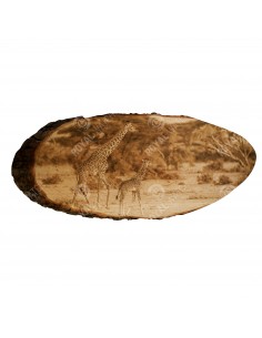 Żyrafa