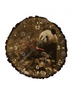 Panda wielka