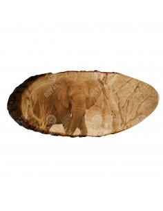 Slon africký