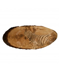 Plains zebra