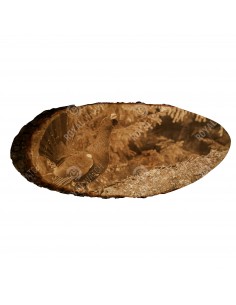 Auerhuhn