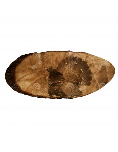 Tannenhuhn