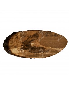 Fehérfejű rétisas