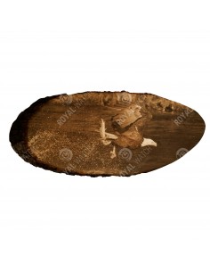 Белоголовый орлан