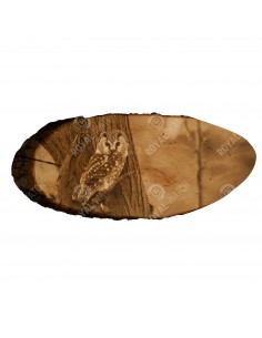 Мохноногий сыч