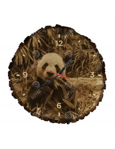 Panda wielka