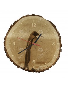 Tučňák patagonský