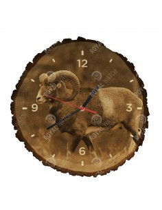 Mouflon