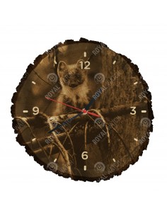 Лесная куница