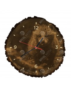 Енотовидная собака