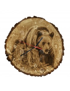 Braunbär