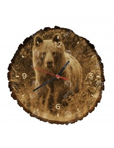 Braunbär