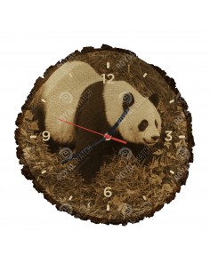 Panda wielka
