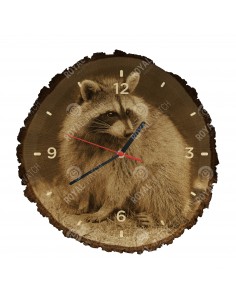 Waschbär
