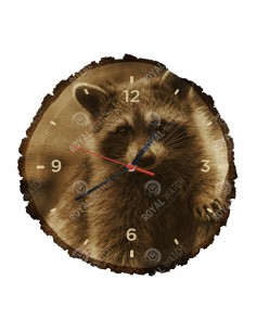 Waschbär