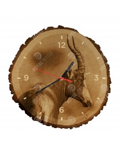 Byvolec bieloritný